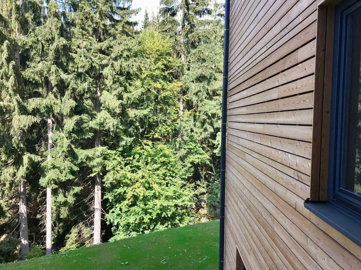 Utulny Apartman U Mumlavskych Vodopadu Harrachov Ngoại thất bức ảnh